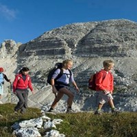 active holidaysi's Portfolio